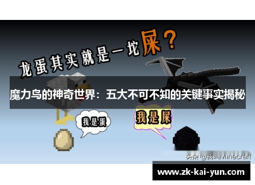 魔力鸟的神奇世界：五大不可不知的关键事实揭秘